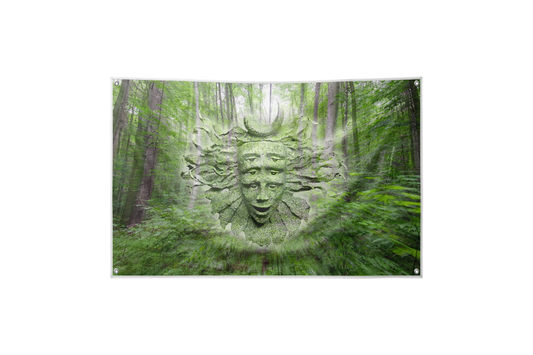 Shpongle Spirit